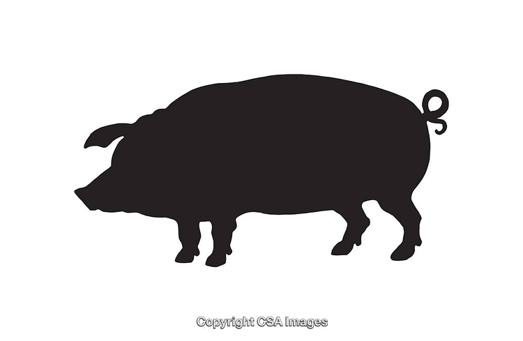 Silhouette Illustration of a Domestic Pig in Profile Vector Art