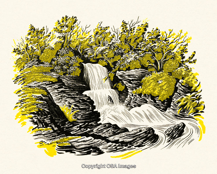 Vintage Illustration of a Waterfall in a Forest Landscape