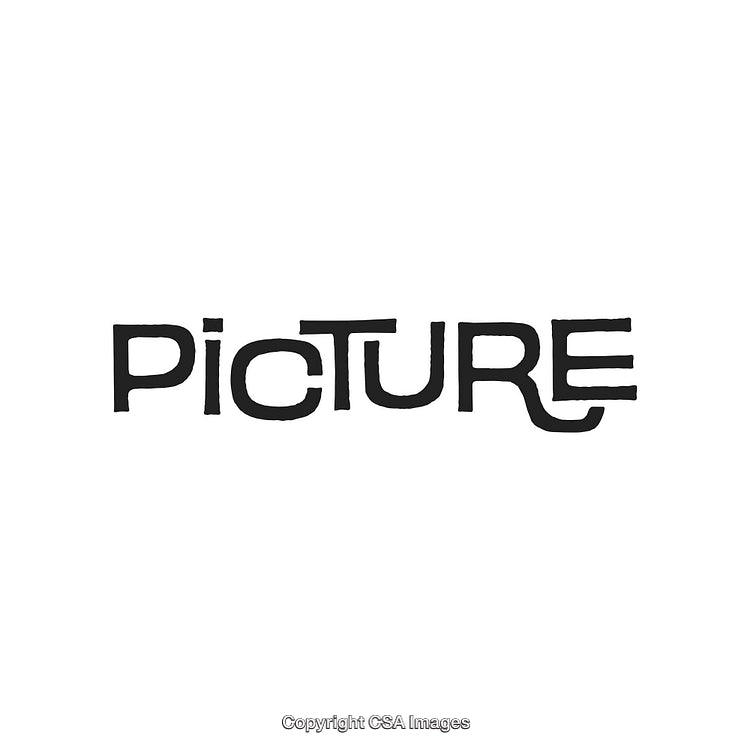 Stylized Artistic Design of the Word 'Picture' Written in Bold Letters