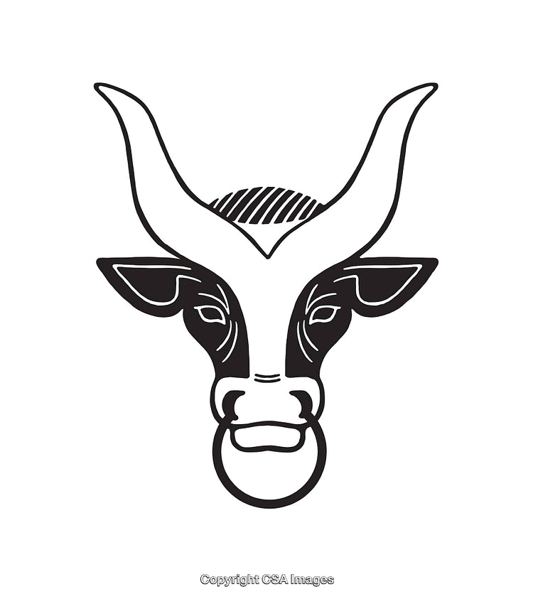 Minimalist Black And White Bull Face Line Art Illustration
