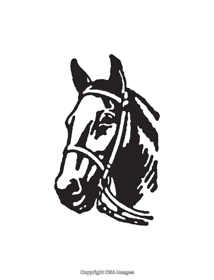 Black and White Line Art Illustration of a Horse Head