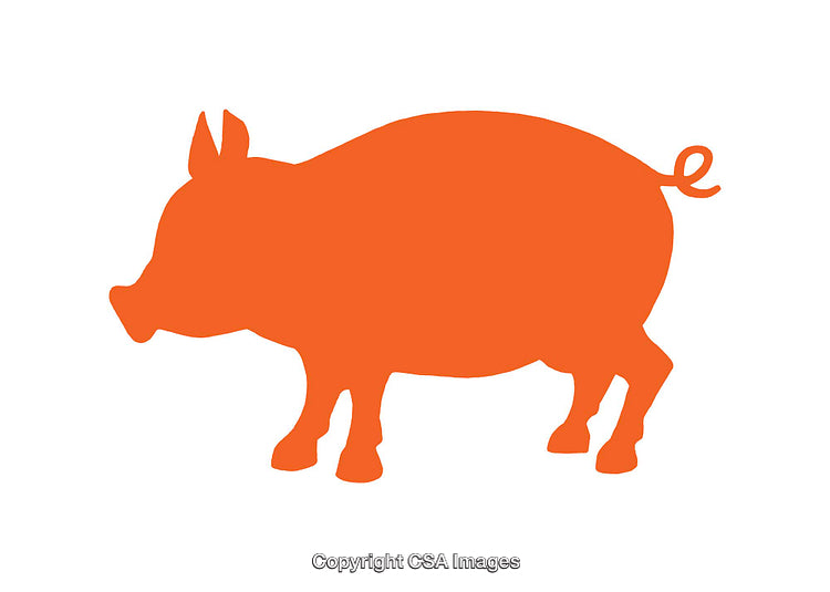 Silhouette of an Orange Pig Icon Isolated on a White Background