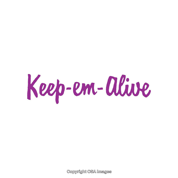 Vibrant Purple Cursive Text 'Keep-em-Alive' on White Background