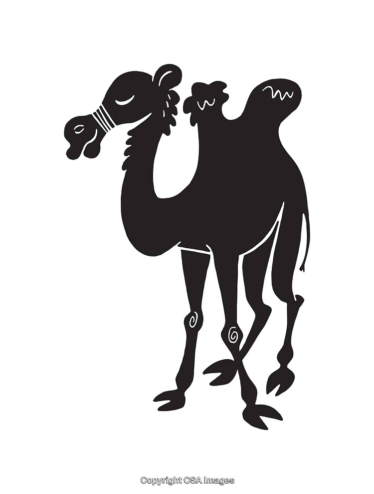 Black and White Line Art Illustration of a Camel with Two Humps