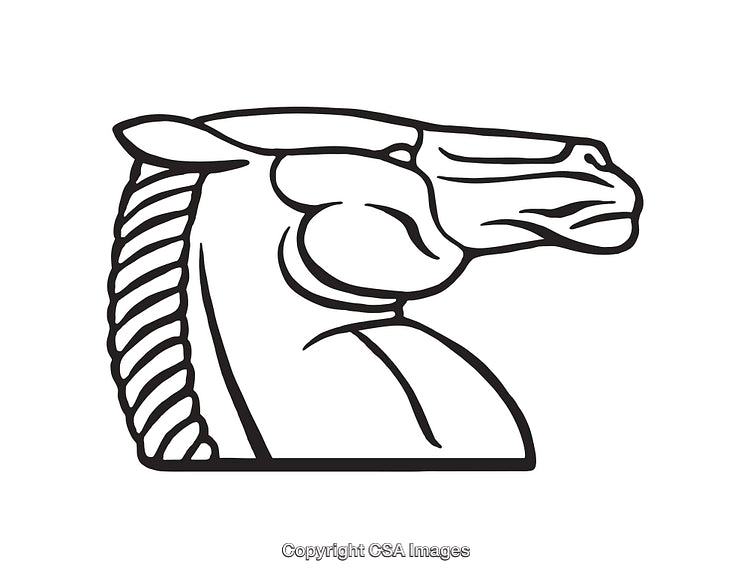 Black And White Line Art Illustration of a Stylized Horse Head
