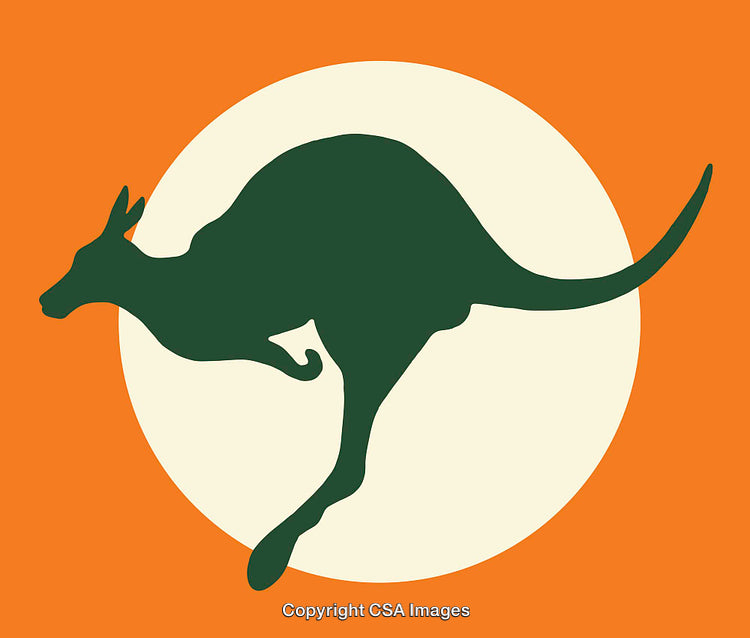 Silhouette of a Kangaroo with Vibrant Colors and Minimalist Style