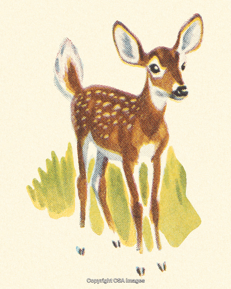 Vintage Illustration of a Young Fawn in Nature with Retro Art Style