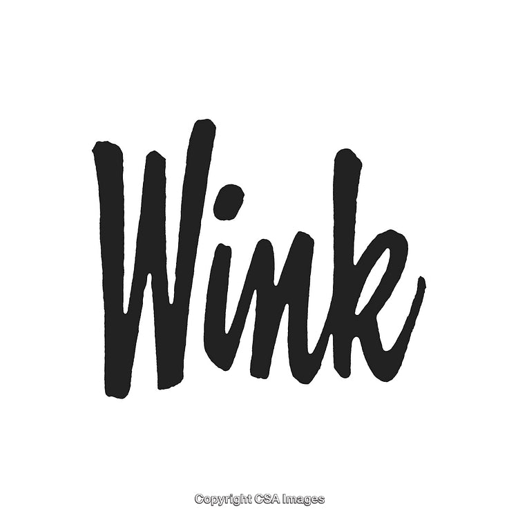 Handwritten Black Brush Script Spelling 'Wink' on White Background