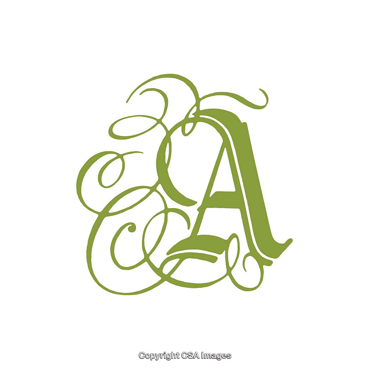 Elegant Green Ornamental Letter A Design for Typographic Projects