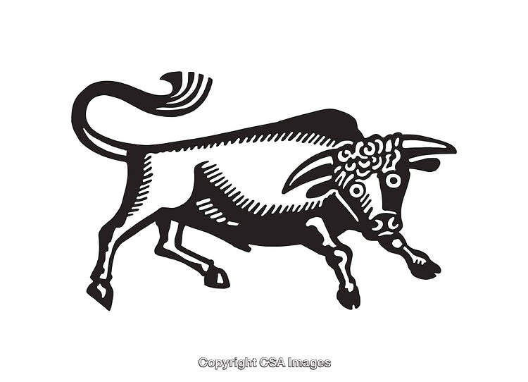 Vintage Black and White Illustration of a Charging Bull in Line Art Style