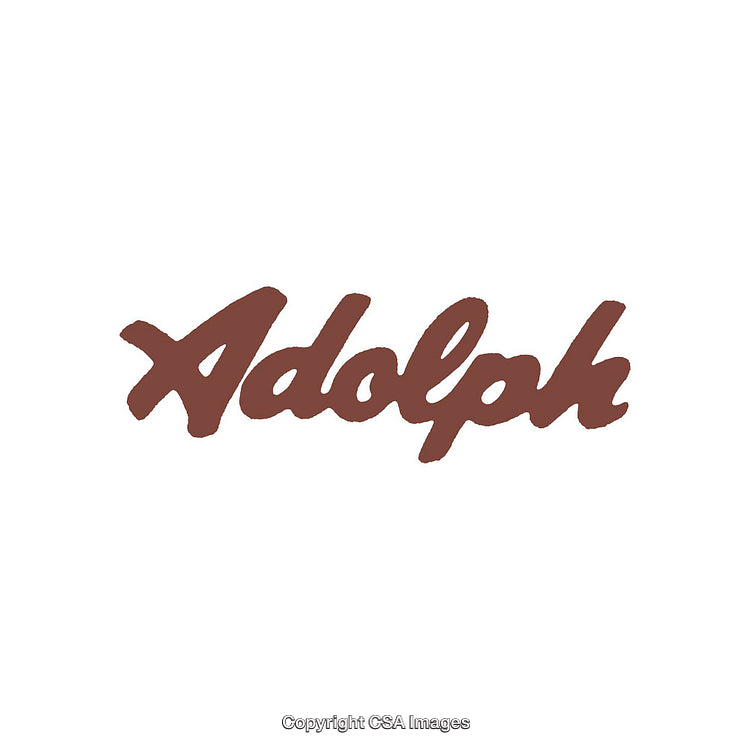 Elegant Brown Script Typography on Clean White Background