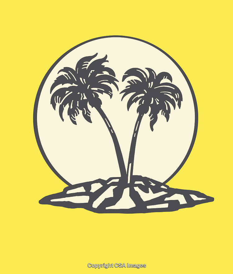 Minimalist Illustration of Palm Trees Against a Circular Sunset Background