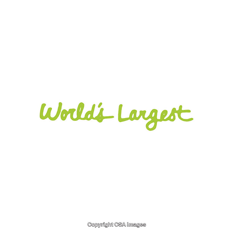 Green Handwritten Text Saying World's Largest on White Background