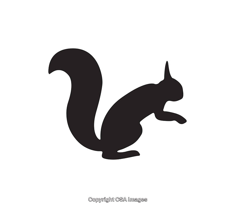 Silhouette of a Squirrel in Simple Black and White Icon Design