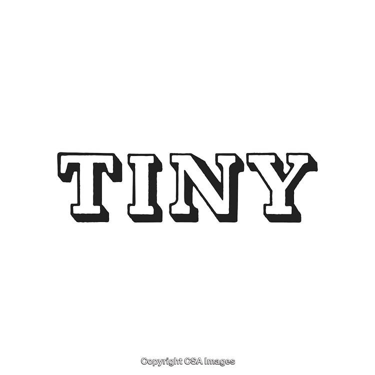 Stylish Black Typography of "Tiny" Against a Clean White Background