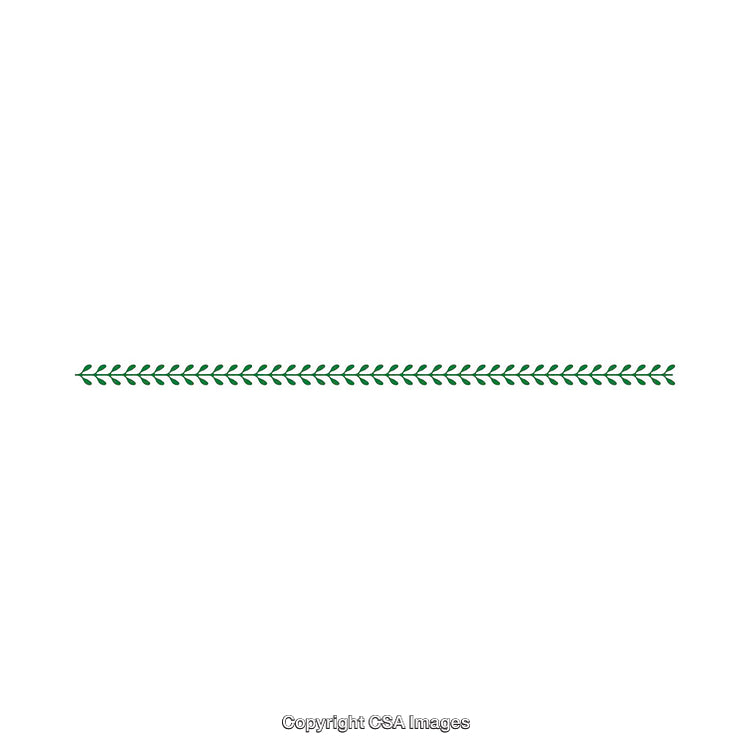 Minimal Green Leaf Border Design on a White Background