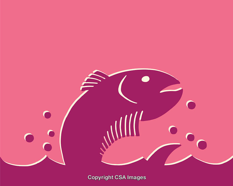 Vivid Line Art of a Fish in Abstract Pink Waters