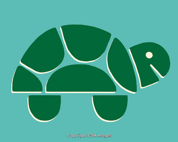 Geometric Green Turtle Illustration on Light Teal Background