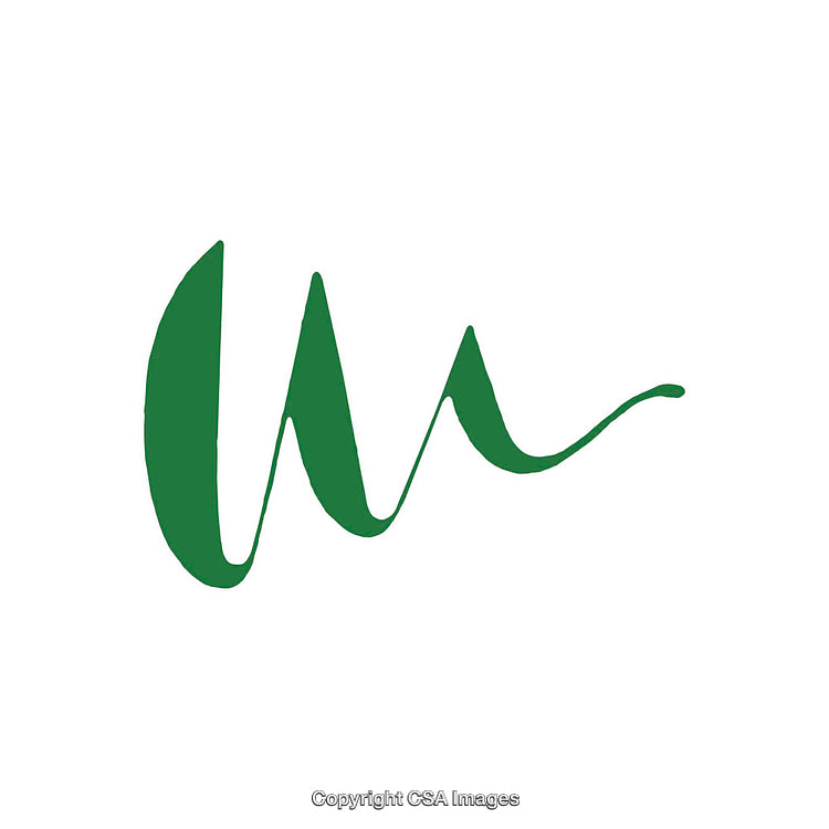 Green Curved Line Abstract on White Background