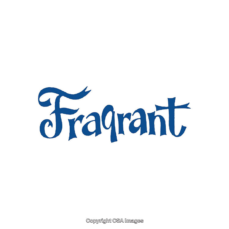 Vintage Stylized Typography Featuring The Word "Fraqrant" in Rich Blue Tones