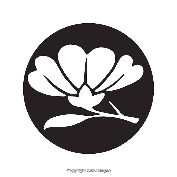 Black and White Floral Circle Design in Line Art Illustration