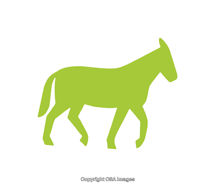 Silhouette Illustration of a Green Donkey Icon on White Background