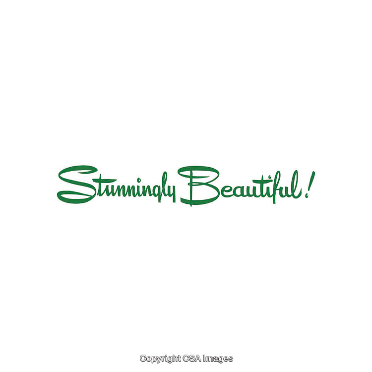 Elegant Typeface Text Displaying 'Stunningly Beautiful' in Green Script