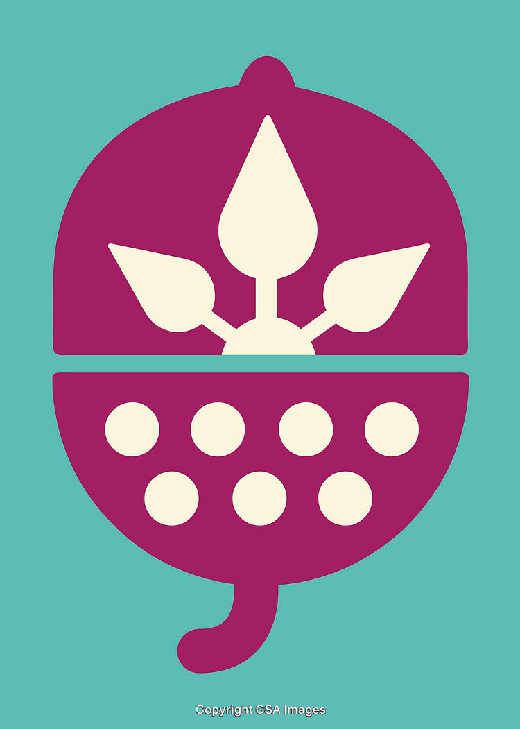 Abstract Acorn Design Featuring Minimalist Style and Bold Colors