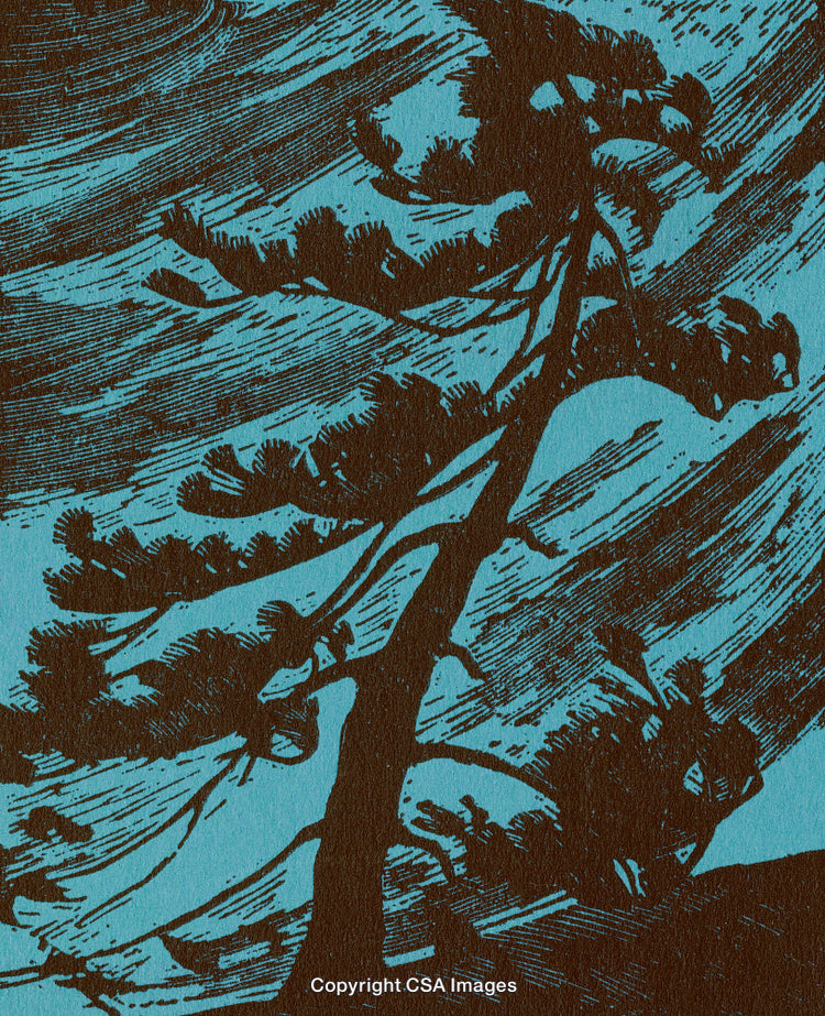 Artistic Silhouette of a Tree Against a Textured Blue Background