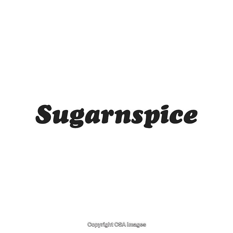 Sugarnspice Logo Featuring Elegant Black Text on a Clean White Background