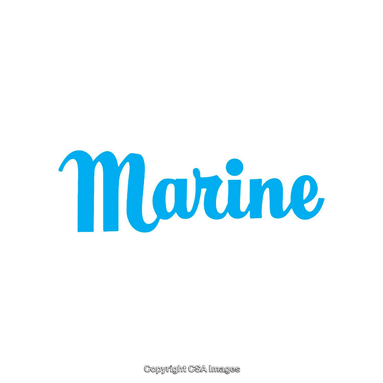 Blue Marine Text Design on Clean White Background