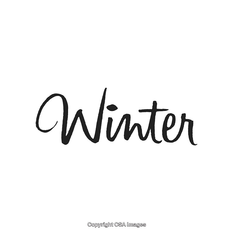 Elegant Handwritten Winter Text Design with Black Ink on White Background