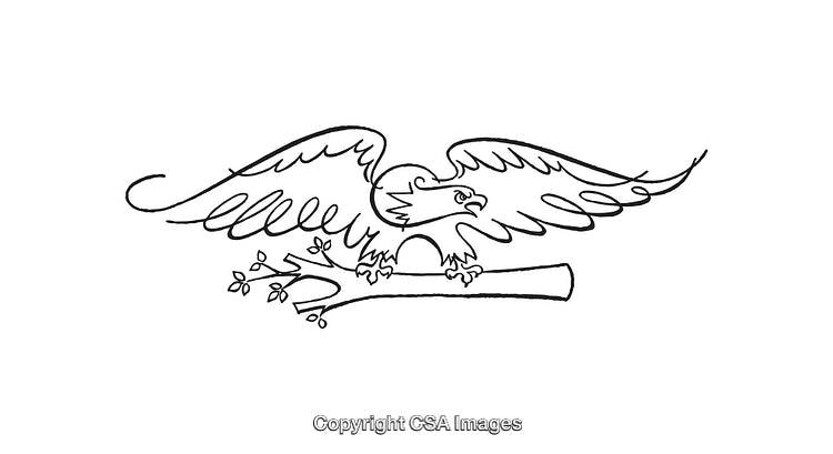 Elegant Line Art Illustration of a Majestic Eagle Perched on a Branch