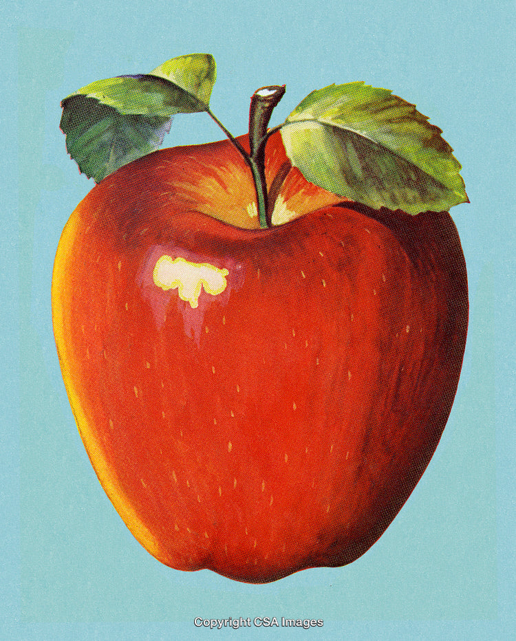 Illustration of a Vibrant Red Apple with Leaf on Light Blue Background
