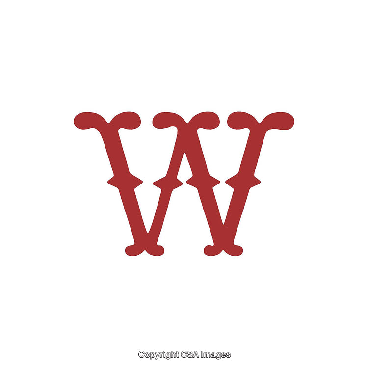 Typography Design Featuring Ornamental Letter W on White Background