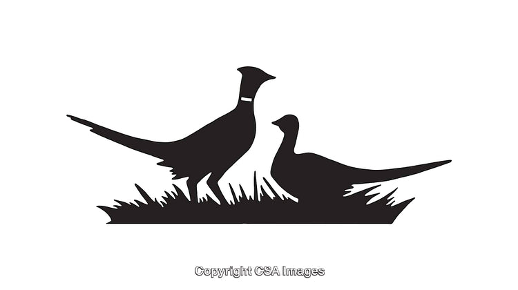 Silhouette of Two Pheasants in Grass, Black and White Line Art