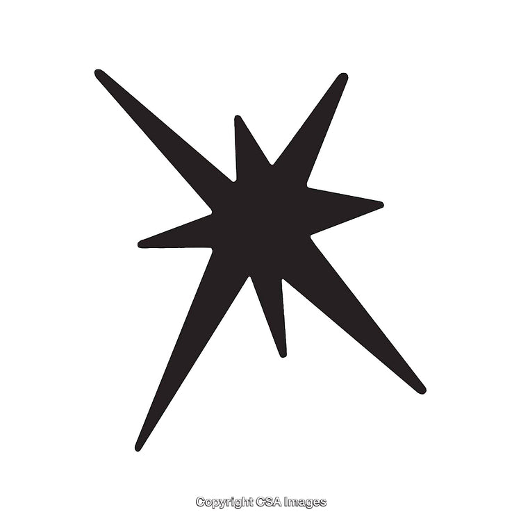 Black Abstract Starburst Shape on a White Background