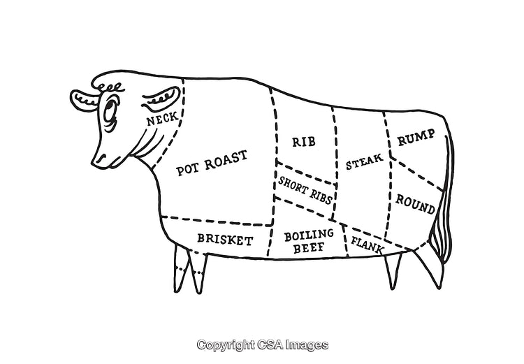 Black and White Line Art Diagram of Cow Meat Cuts