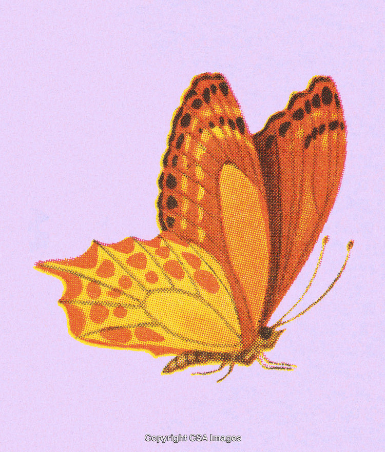 Elegant Orange Butterfly on Pastel Purple Background in Retro Style