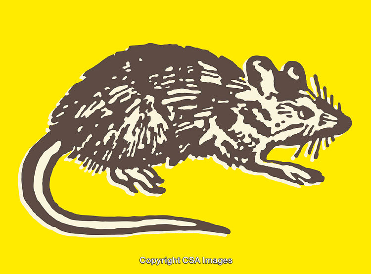 Stylized Line Art Illustration of a Mouse on a Vibrant Yellow Background