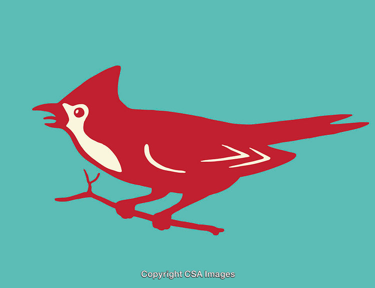 Minimalist Cardinal Bird Illustration on a Bright Turquoise Background