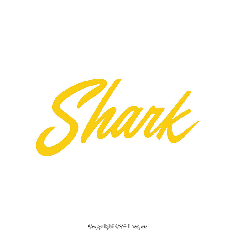 Yellow Shark Script Text on Clean White Background
