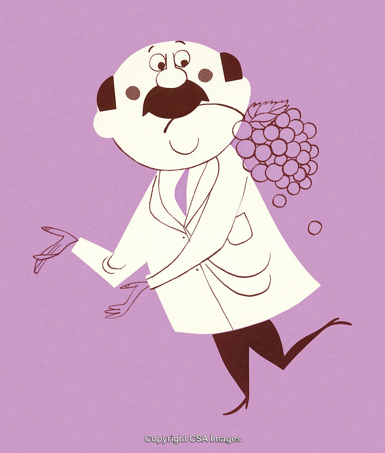 Cartoon Illustration of a Scientist with Grapes in a Minimalist Style