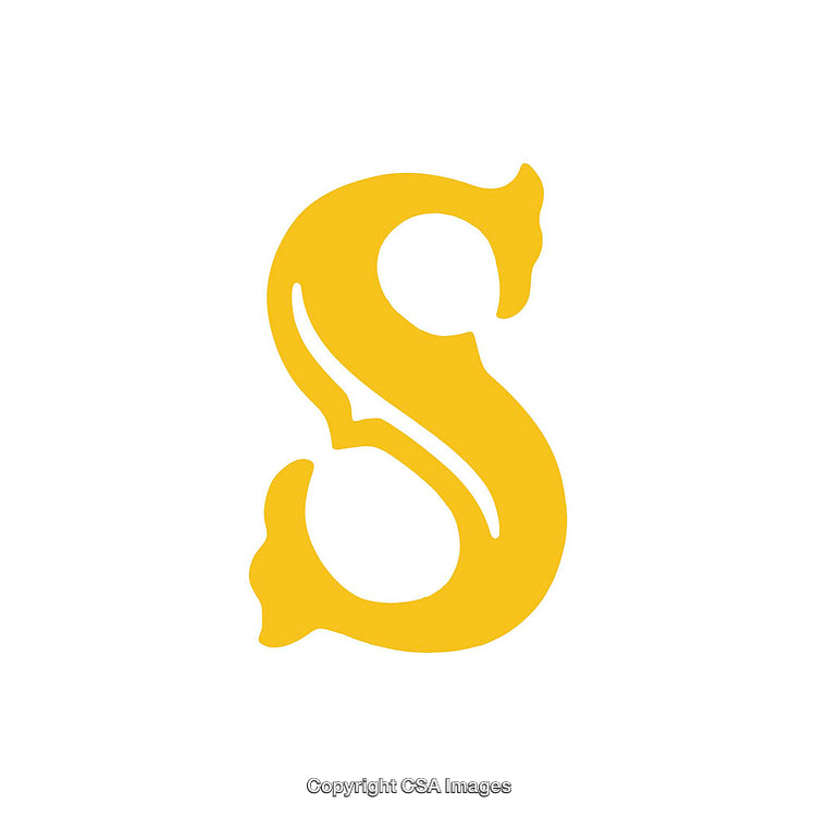 Golden Ornate S Letter on a White Background