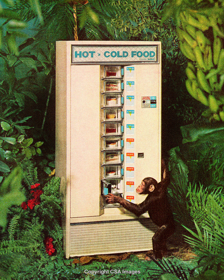 Chimpanzee Interacting with a Food Vending Machine in Vibrant Jungle Setting