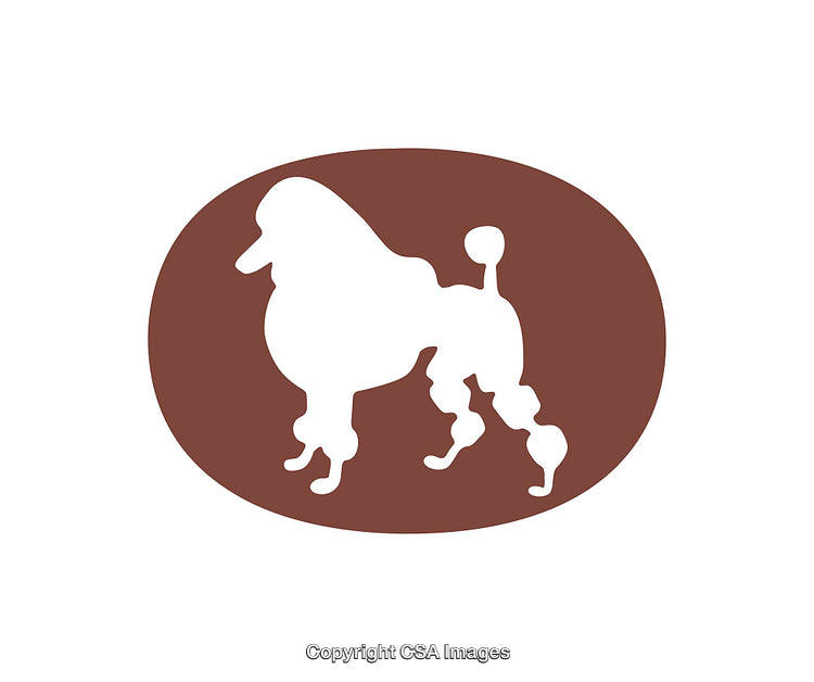 Elegant Silhouette of a Groomed Poodle Dog in Minimalist Style