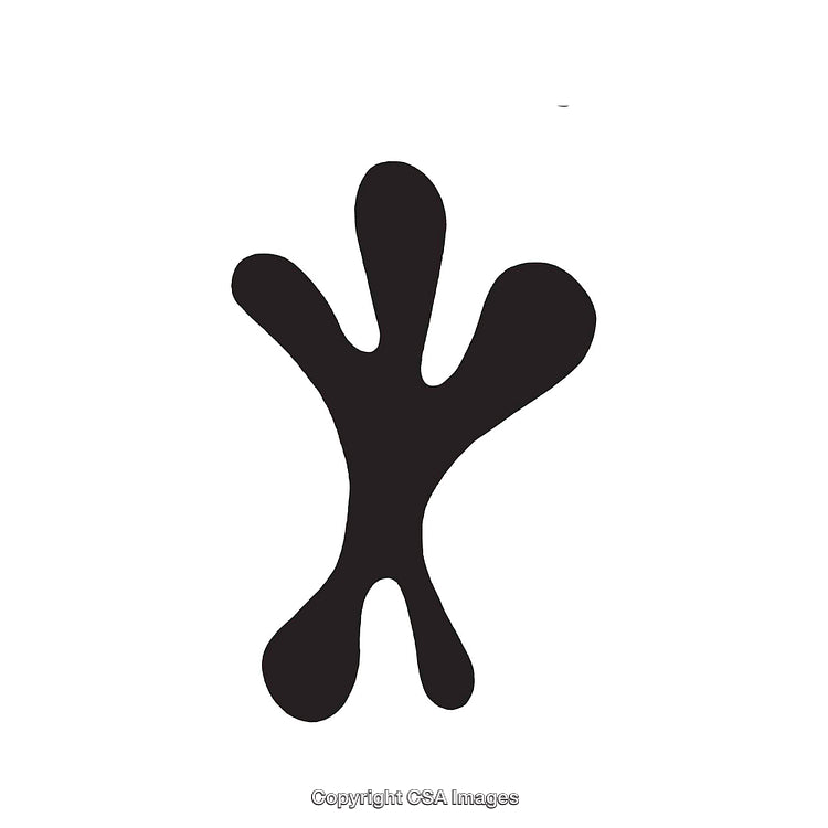 Abstract Black Curved Shape on a White Background