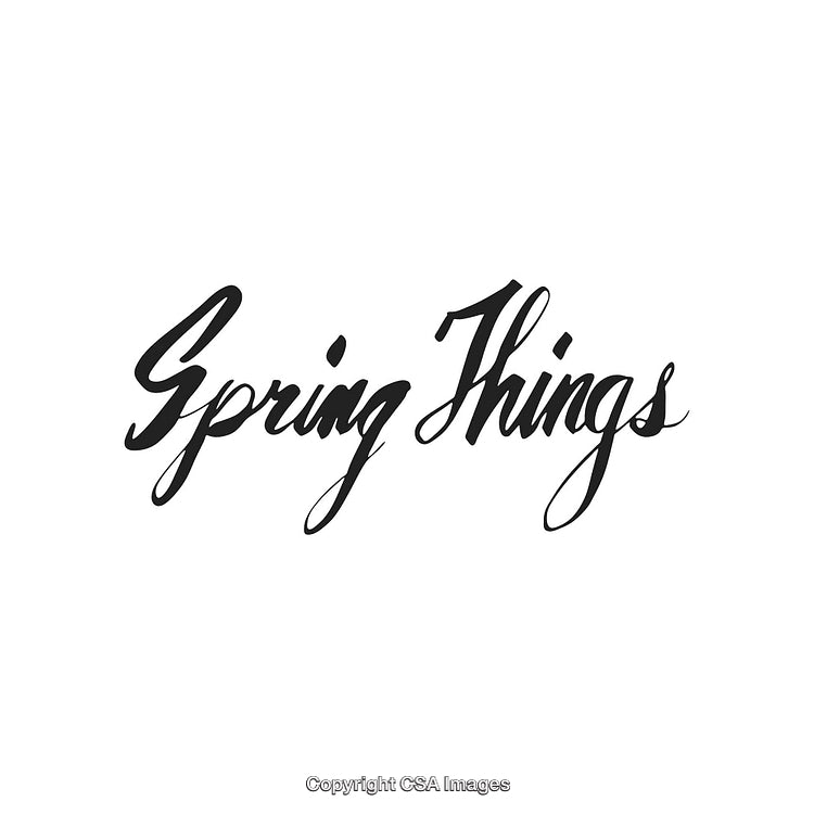 Stylish Script of 'Spring Things' in Elegant Black Lettering