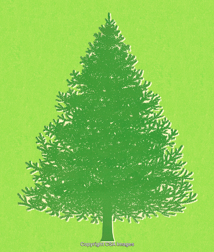 Illustration of a Festive Green Christmas Tree on Light Green Background