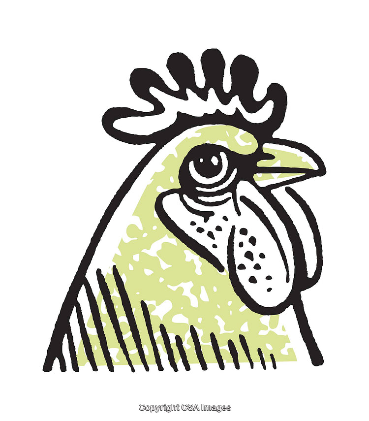 Close-Up Illustration of a Chicken in a Bold and Quirky Style